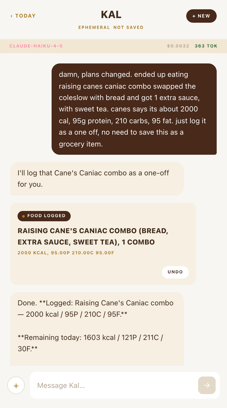 The chat screen mid conversation: a tool card with an Undo button, a remaining-today stat strip, and the model and cost readout